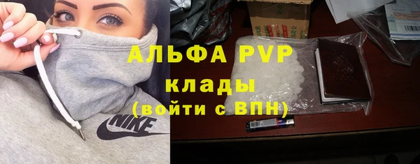 стаф Каменск-Шахтинский