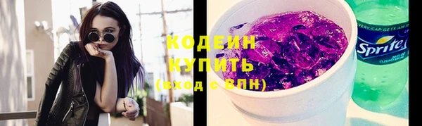 стаф Каменск-Шахтинский