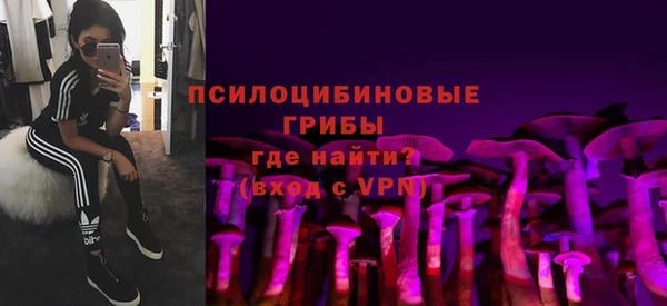стаф Каменск-Шахтинский