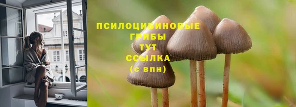 не бодяженный Каменка