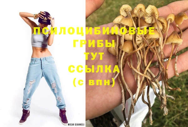 каннабис Каменногорск
