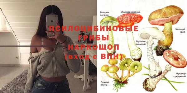 не бодяженный Каменка