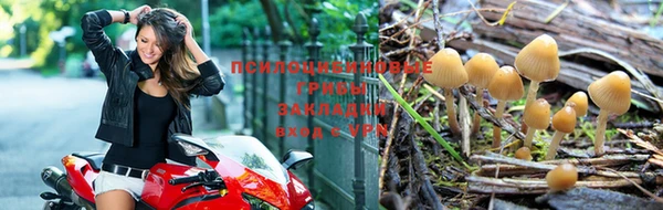 не бодяженный Каменка