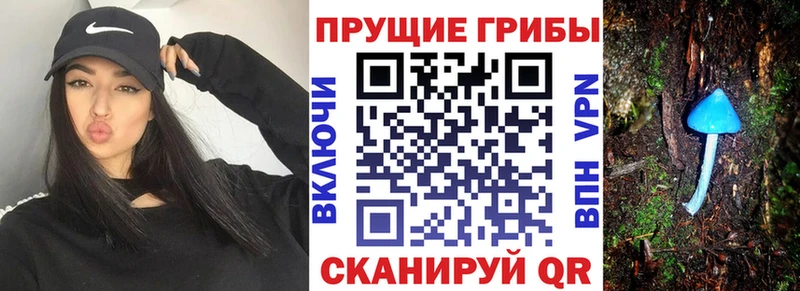 Псилоцибиновые грибы ЛСД  даркнет наркотические препараты  Ачинск  купить  сайты 